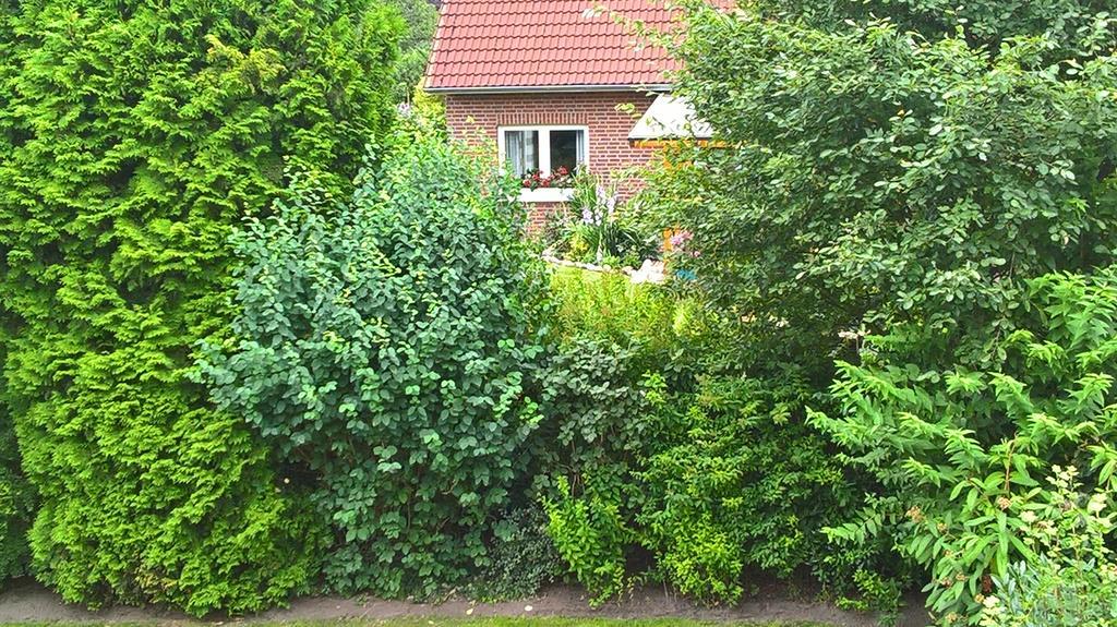 Ferienwohnung Fuchskuhle Bockhorn  Bagian luar foto